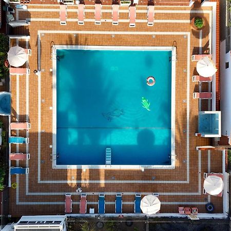 Studio Las Americas Monkey Beach بلايا ذي لاس أميريكاس المظهر الخارجي الصورة